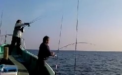 伊東港 静岡県伊東市 釣りを始めよう 全国釣り場情報一覧